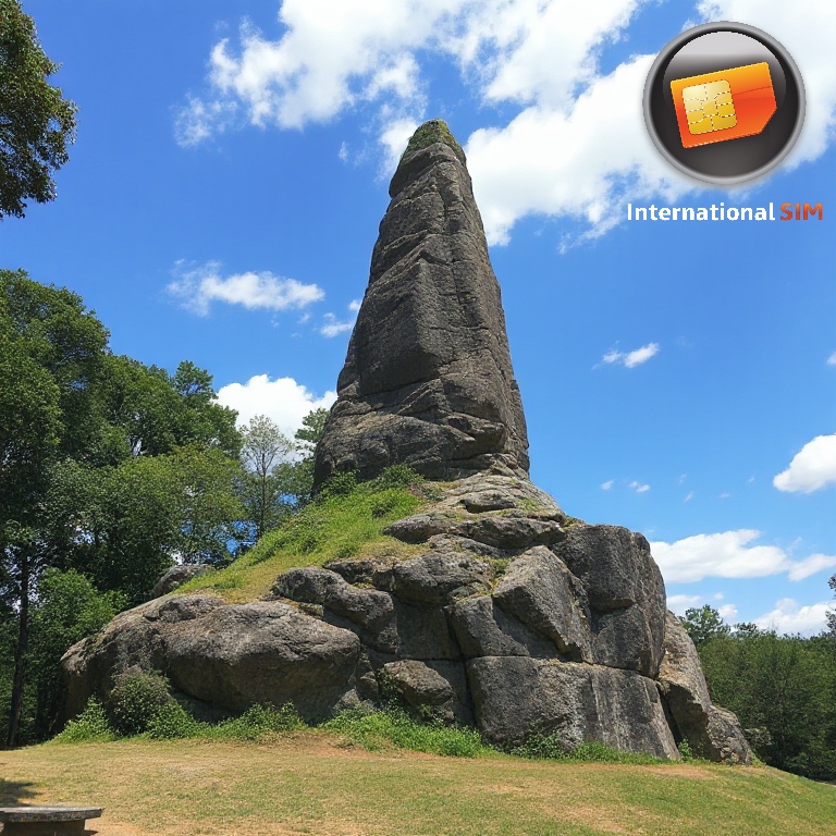 Data SIM card Georgia 1GB (7 days)