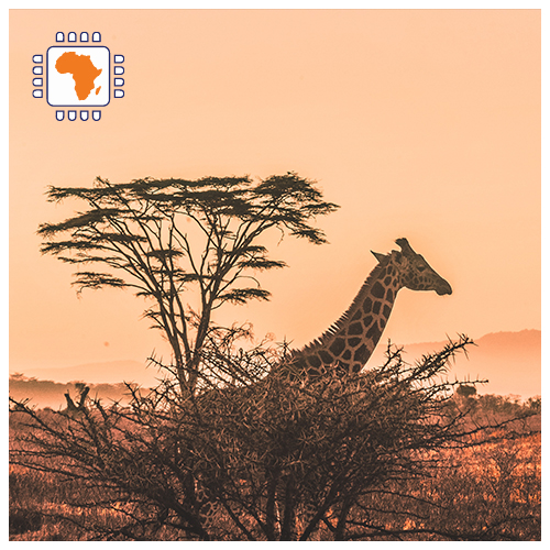 eSIM Africa 3GB (15 days)
