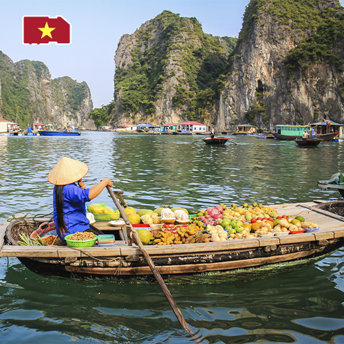 Data SIM Card Vietnam 50GB (30 days)