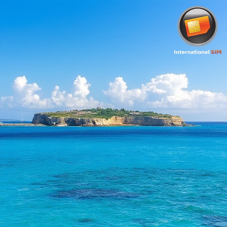 Data SIM Card Bermuda 1GB (7 days)