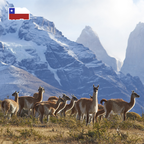 Data SIM Card Chile 25GB (30 days)