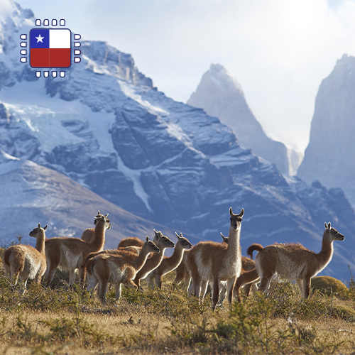 Top Up Chile Unlimited (7 days)