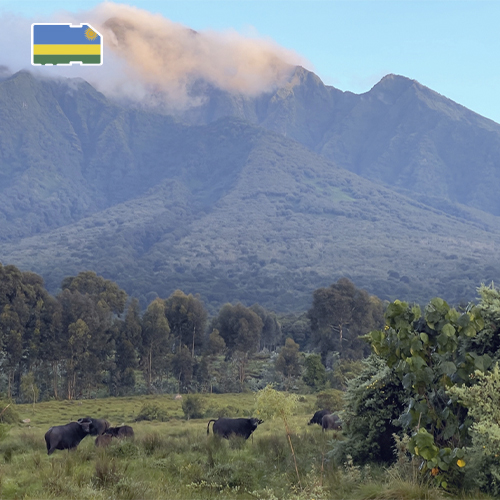 Top Up Rwanda 3GB (15 days)