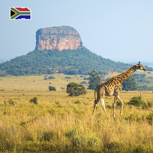 [WW_901O_STACK_ONEOFF_ZAF_10GB_30D] Data SIM Card South Africa 10GB (30 days)